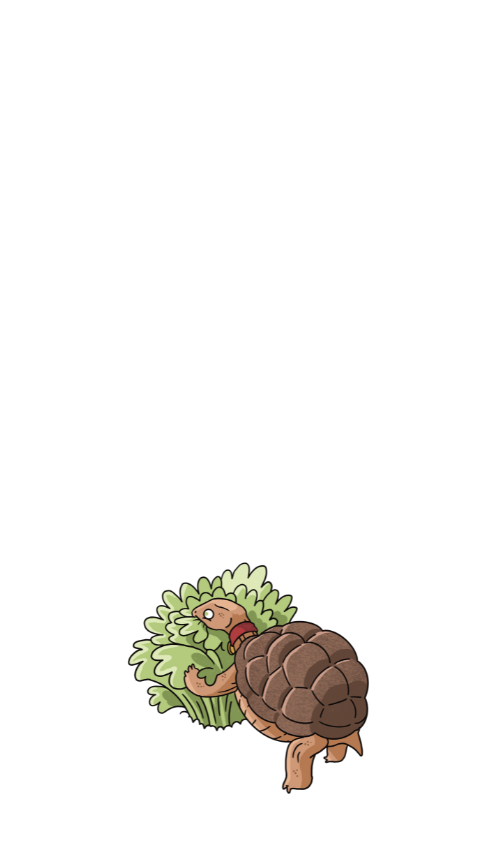 Familie Sössli - Haustier Speedy